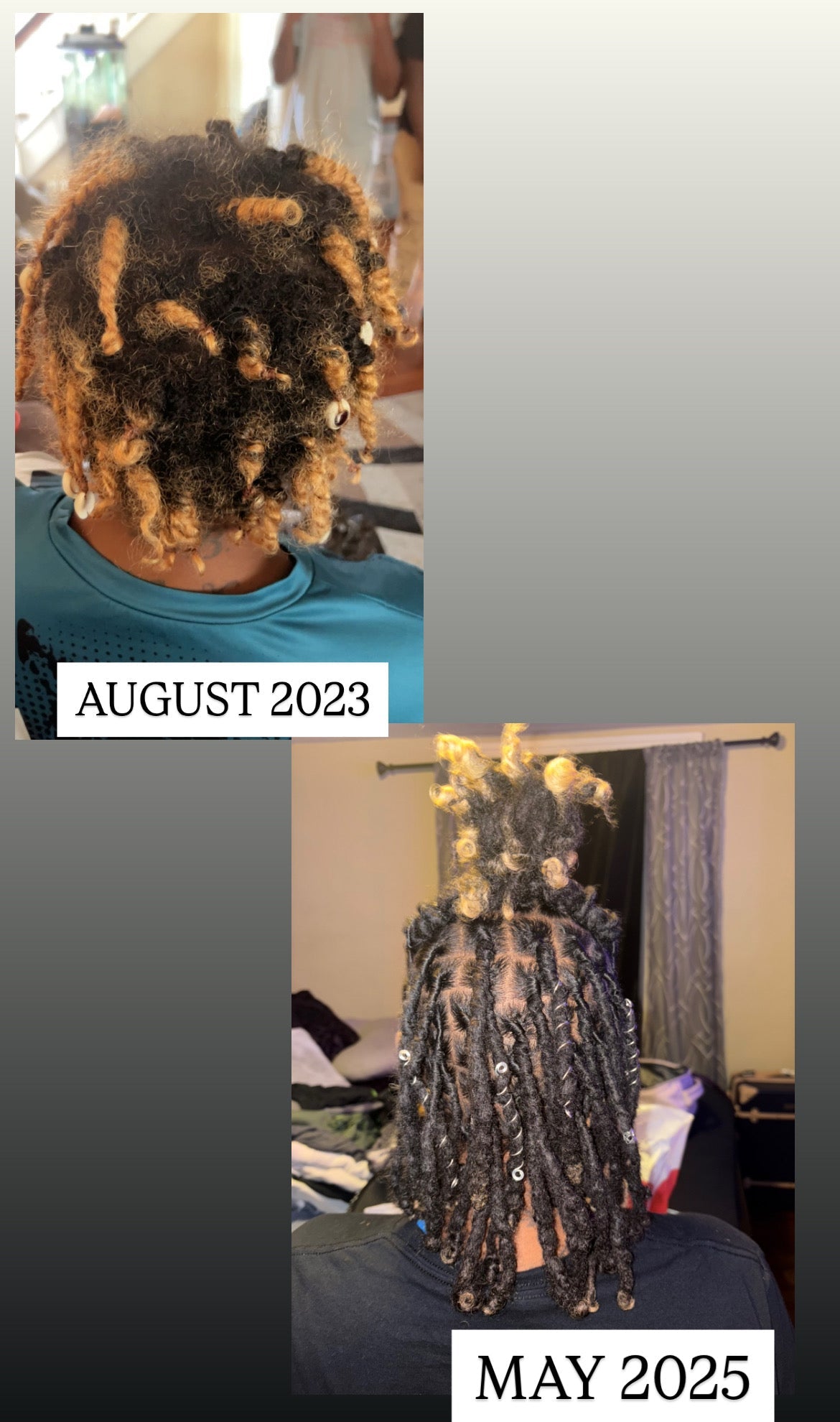 The Daisy's Box (6 Products)